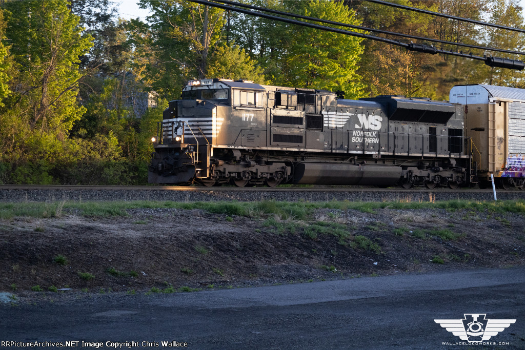 NS 1177